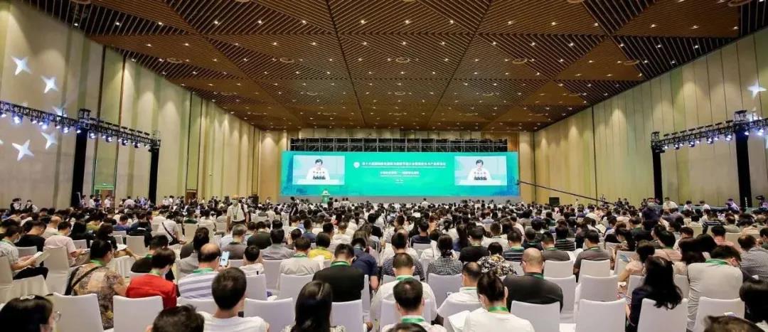 1598687708303072.jpg 1.jpg